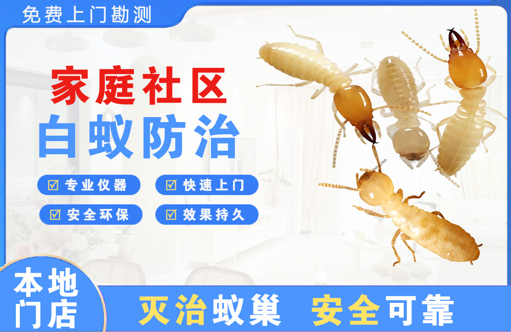 清远家庭社区白蚁防治