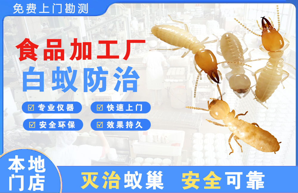 清远食品加工厂白蚁防治