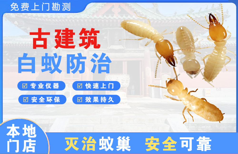 清远古建筑白蚁防治