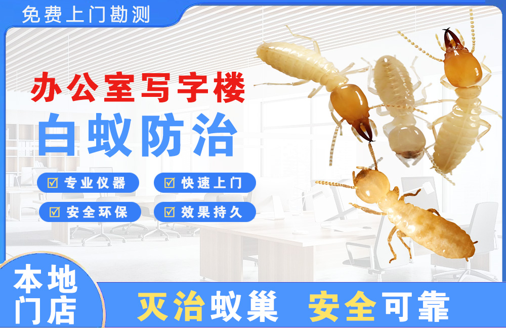 清远办公室写字楼白蚁防治